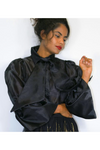 Sheer Organza blouse
