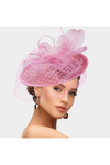 Feather Mesh Fascinator