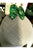 Green Bead Pendant Necklace Set 2