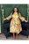 Multicolor Jacket Dress
